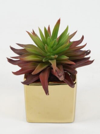 Artificial succulent 17*17*36cm Artificial succulent in Cement pot GS-51722148 Succulent 3,000+ sqm showroom with thousands of artificial flowers, plants & trees ready for global sourcing.