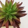 Artificial succulent in ceramic pot GS-51722108_4 Artificial succulent 12*12*13cm Artificial succulent in ceramic pot GS-51722108 Succulent YeahFlower is one of Chinese leading OEM manufacturers and exporters , supplying the silk flowers, wholesale artificial trees
