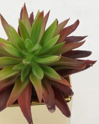 Artificial succulent 12*12*13cm Artificial succulent in ceramic pot GS-51722108 Succulent YeahFlower is one of Chinese leading OEM manufacturers and exporters , supplying the silk flowers, wholesale artificial trees Artificial succulent 12*12*13cm Artificial succulent in ceramic pot GS-51722108 Succulent YeahFlower is one of Chinese leading OEM manufacturers and exporters , supplying the silk flowers, wholesale artificial trees