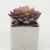 Artificial succulent 8*8*11cm Artificial succulent in ceramic pot GS-51722109 Succulent YeahFlower is one of Chinese leading OEM manufacturers and exporters , supplying the silk flowers, wholesale artificial trees