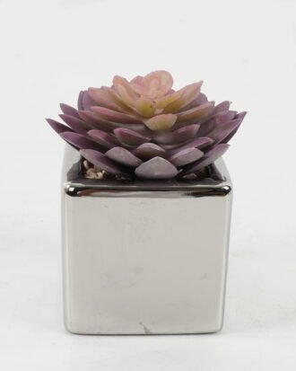 Artificial succulent 8*8*11cm Artificial succulent in ceramic pot GS-51722109 Succulent YeahFlower is one of Chinese leading OEM manufacturers and exporters , supplying the silk flowers, wholesale artificial trees