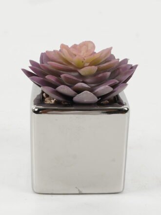 Artificial succulent 11*11*11cm Artificial succulent in ceramic pot GS-51722107 Succulent 3,000+ sqm showroom with thousands of artificial flowers, plants & trees ready for global sourcing.