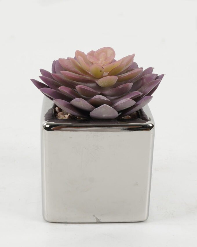 Artificial succulent 8*8*11cm Artificial succulent in ceramic pot GS-51722109 Succulent YeahFlower is one of Chinese leading OEM manufacturers and exporters , supplying the silk flowers, wholesale artificial trees