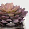 Artificial succulent 8*8*11cm Artificial succulent in ceramic pot GS-51722109 Succulent YeahFlower is one of Chinese leading OEM manufacturers and exporters , supplying the silk flowers, wholesale artificial trees