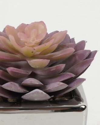 Artificial succulent 8*8*11cm Artificial succulent in ceramic pot GS-51722109 Succulent YeahFlower is one of Chinese leading OEM manufacturers and exporters , supplying the silk flowers, wholesale artificial trees