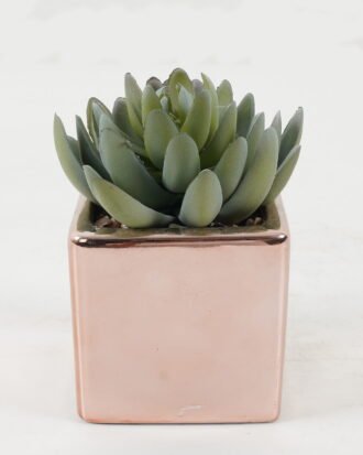Artificial succulent 9*9*11cm Artificial succulent in ceramic pot GS-51722110 Succulent YeahFlower is one of Chinese leading OEM manufacturers and exporters , supplying the silk flowers, wholesale artificial trees