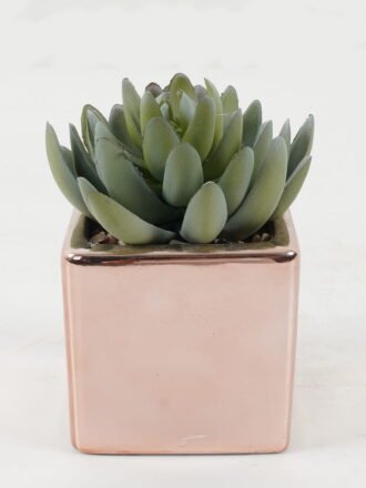 Artificial succulent 19*19*28cm Artificial succulent in ceramic pot GS-51722111 Succulent 3,000+ sqm showroom with thousands of artificial flowers, plants & trees ready for global sourcing.