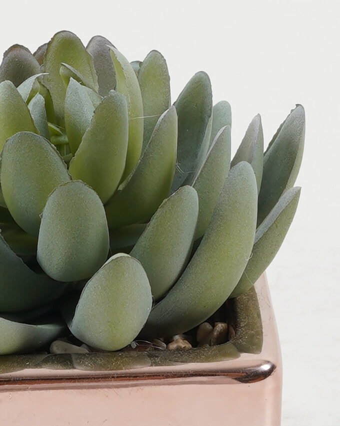 Artificial succulent 9*9*11cm Artificial succulent in ceramic pot GS-51722110 Succulent YeahFlower is one of Chinese leading OEM manufacturers and exporters , supplying the silk flowers, wholesale artificial trees