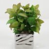 Artificial succulent in ceramic pot GS-51722111 Artificial succulent 19*19*28cm Artificial succulent in ceramic pot GS-51722111 Succulent YeahFlower is one of Chinese leading OEM manufacturers and exporters , supplying the silk flowers, wholesale artificial trees