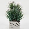 Artificial succulent 23*23*30cm Artificial succulent in ceramic pot GS-51722112 Succulent YeahFlower is one of Chinese leading OEM manufacturers and exporters , supplying the silk flowers, wholesale artificial trees