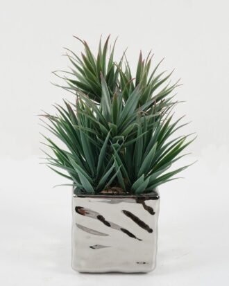 Artificial succulent 23*23*30cm Artificial succulent in ceramic pot GS-51722112 Succulent YeahFlower is one of Chinese leading OEM manufacturers and exporters , supplying the silk flowers, wholesale artificial trees