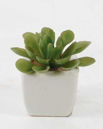 Artificial succulent 8*8*7cm Artificial succulent in ceramic pot GS-51722113 Succulent YeahFlower is one of Chinese leading OEM manufacturers and exporters , supplying the silk flowers, wholesale artificial trees