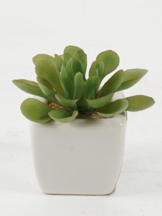 Artificial succulent 23*23*30cm Artificial succulent in ceramic pot GS-51722112 Succulent 3,000+ sqm showroom with thousands of artificial flowers, plants & trees ready for global sourcing.