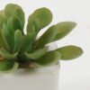 Artificial succulent in ceramic pot GS-51722113_1 Artificial succulent 8*8*7cm Artificial succulent in ceramic pot GS-51722113 Succulent YeahFlower is one of Chinese leading OEM manufacturers and exporters , supplying the silk flowers, wholesale artificial trees