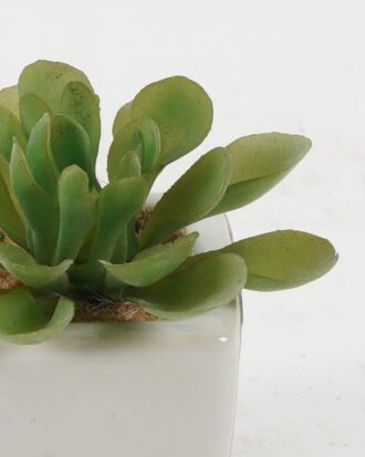 Artificial succulent 8*8*7cm Artificial succulent in ceramic pot GS-51722113 Succulent YeahFlower is one of Chinese leading OEM manufacturers and exporters , supplying the silk flowers, wholesale artificial trees
