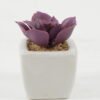Artificial succulent 6*6*7cm Artificial succulent in ceramic pot GS-51722114 Succulent YeahFlower is one of Chinese leading OEM manufacturers and exporters , supplying the silk flowers, wholesale artificial trees
