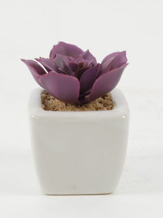 Artificial succulent 8*8*7cm Artificial succulent in ceramic pot GS-51722113 Succulent 3,000+ sqm showroom with thousands of artificial flowers, plants & trees ready for global sourcing.