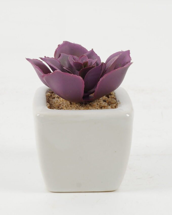 Artificial succulent 6*6*7cm Artificial succulent in ceramic pot GS-51722114 Succulent YeahFlower is one of Chinese leading OEM manufacturers and exporters , supplying the silk flowers, wholesale artificial trees