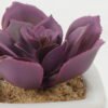 Artificial succulent 6*6*7cm Artificial succulent in ceramic pot GS-51722114 Succulent YeahFlower is one of Chinese leading OEM manufacturers and exporters , supplying the silk flowers, wholesale artificial trees