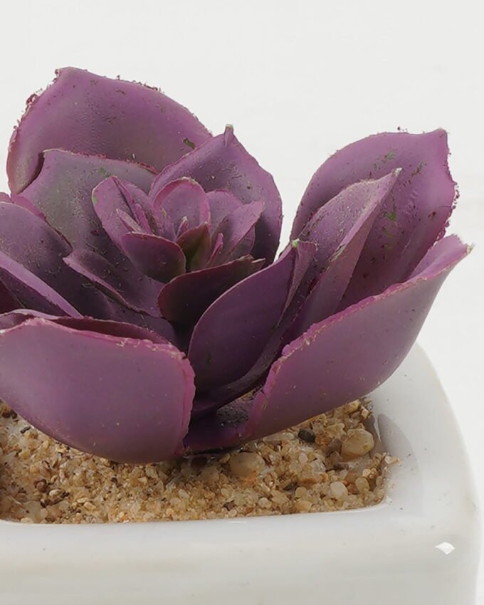 Artificial succulent 6*6*7cm Artificial succulent in ceramic pot GS-51722114 Succulent YeahFlower is one of Chinese leading OEM manufacturers and exporters , supplying the silk flowers, wholesale artificial trees