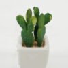 Artificial succulent 6*6*10cm Artificial succulent in ceramic pot GS-51722115 Succulent YeahFlower is one of Chinese leading OEM manufacturers and exporters , supplying the silk flowers, wholesale artificial trees