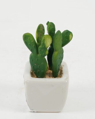 Artificial succulent 6*6*10cm Artificial succulent in ceramic pot GS-51722115 Succulent YeahFlower is one of Chinese leading OEM manufacturers and exporters , supplying the silk flowers, wholesale artificial trees