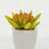 Artificial succulent 8*8*7cm Artificial succulent in ceramic pot GS-51722116 Succulent YeahFlower is one of Chinese leading OEM manufacturers and exporters , supplying the silk flowers, wholesale artificial trees