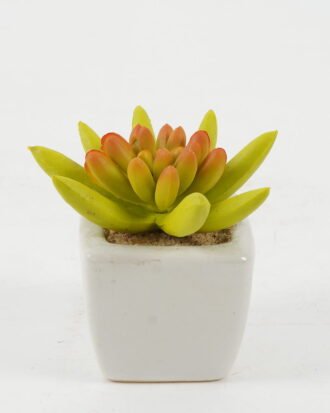 Artificial succulent 8*8*7cm Artificial succulent in ceramic pot GS-51722116 Succulent YeahFlower is one of Chinese leading OEM manufacturers and exporters , supplying the silk flowers, wholesale artificial trees
