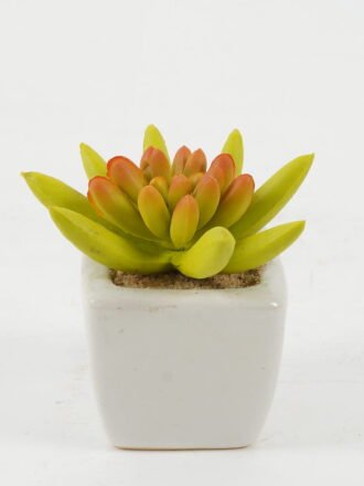 Artificial succulent 6*6*10cm Artificial succulent in ceramic pot GS-51722115 Succulent 3,000+ sqm showroom with thousands of artificial flowers, plants & trees ready for global sourcing.