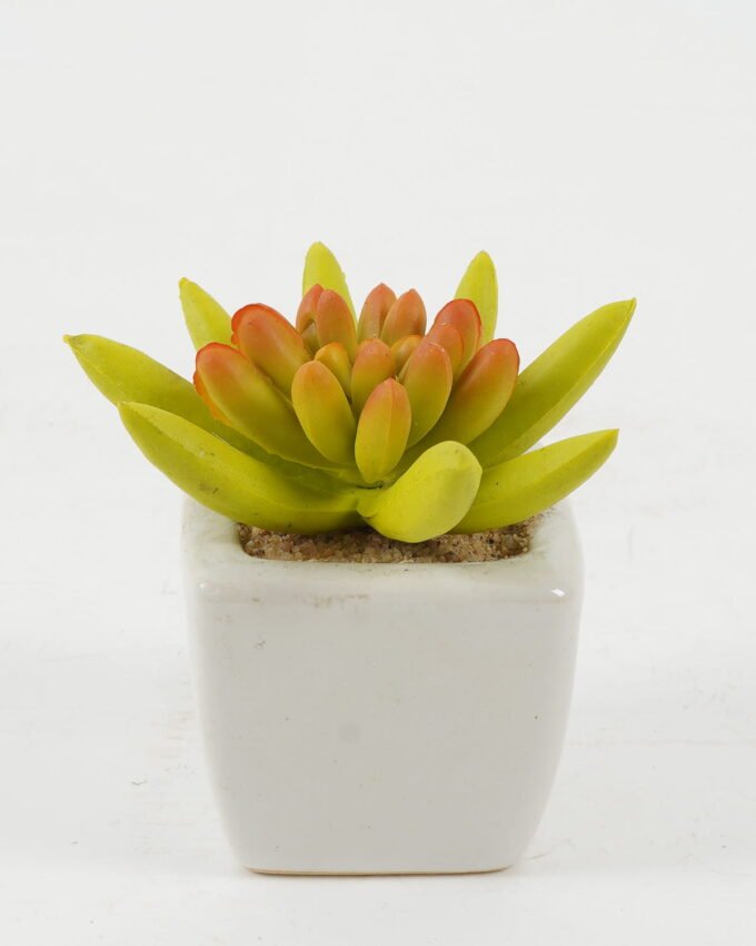 Artificial succulent 8*8*7cm Artificial succulent in ceramic pot GS-51722116 Succulent YeahFlower is one of Chinese leading OEM manufacturers and exporters , supplying the silk flowers, wholesale artificial trees