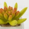 Artificial succulent 8*8*7cm Artificial succulent in ceramic pot GS-51722116 Succulent YeahFlower is one of Chinese leading OEM manufacturers and exporters , supplying the silk flowers, wholesale artificial trees
