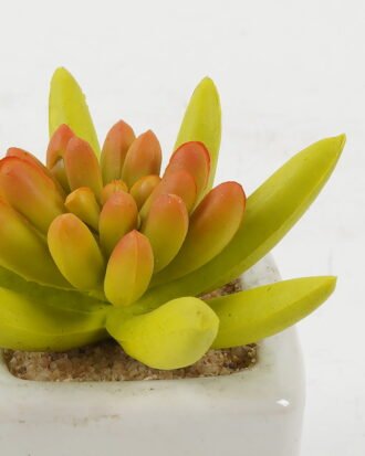 Artificial succulent 8*8*7cm Artificial succulent in ceramic pot GS-51722116 Succulent YeahFlower is one of Chinese leading OEM manufacturers and exporters , supplying the silk flowers, wholesale artificial trees