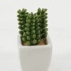 Artificial succulent in ceramic pot GS-51722117 Artificial succulent 5*5*9cm Artificial succulent in ceramic pot GS-51722117 Succulent YeahFlower is one of Chinese leading OEM manufacturers and exporters , supplying the silk flowers, wholesale artificial trees
