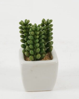 Artificial succulent 5*5*9cm Artificial succulent in ceramic pot GS-51722117 Succulent YeahFlower is one of Chinese leading OEM manufacturers and exporters , supplying the silk flowers, wholesale artificial trees