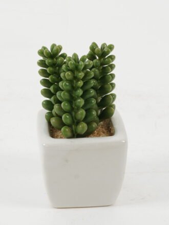 Artificial succulent 9*9*10cm Artificial succulent in ceramic pot GS-51722118 Succulent 3,000+ sqm showroom with thousands of artificial flowers, plants & trees ready for global sourcing.