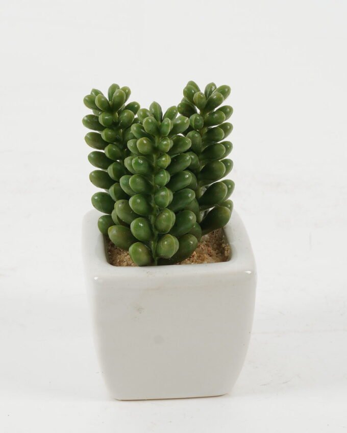 Artificial succulent in ceramic pot GS-51722117 Artificial succulent 5*5*9cm Artificial succulent in ceramic pot GS-51722117 Succulent YeahFlower is one of Chinese leading OEM manufacturers and exporters , supplying the silk flowers, wholesale artificial trees