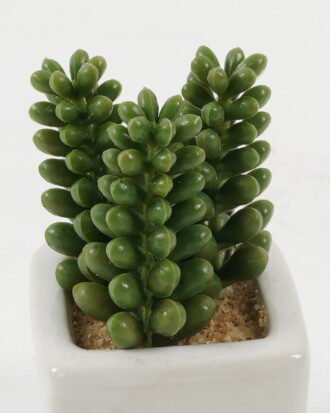 Artificial succulent 5*5*9cm Artificial succulent in ceramic pot GS-51722117 Succulent YeahFlower is one of Chinese leading OEM manufacturers and exporters , supplying the silk flowers, wholesale artificial trees