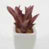Artificial succulent 9*9*10cm Artificial succulent in ceramic pot GS-51722118 Succulent YeahFlower is one of Chinese leading OEM manufacturers and exporters , supplying the silk flowers, wholesale artificial trees