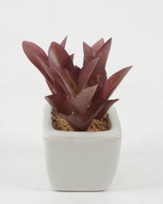Artificial succulent 9*9*10cm Artificial succulent in ceramic pot GS-51722118 Succulent YeahFlower is one of Chinese leading OEM manufacturers and exporters , supplying the silk flowers, wholesale artificial trees