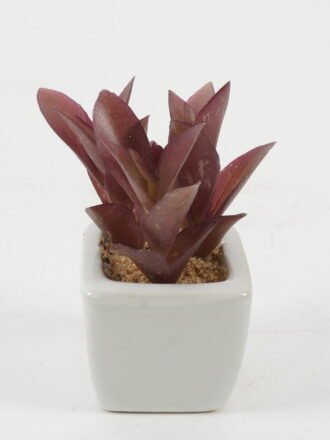 Artificial succulent 6*6*10cm Artificial succulent in ceramic pot GS-51722119 Succulent 3,000+ sqm showroom with thousands of artificial flowers, plants & trees ready for global sourcing.