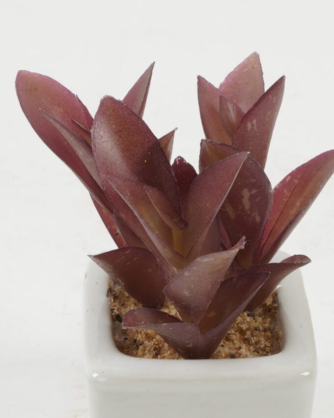 Artificial succulent 9*9*10cm Artificial succulent in ceramic pot GS-51722118 Succulent YeahFlower is one of Chinese leading OEM manufacturers and exporters , supplying the silk flowers, wholesale artificial trees