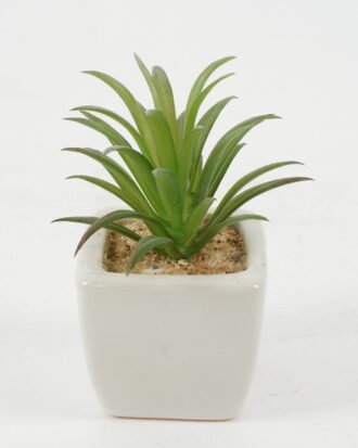 Artificial succulent 6*6*10cm Artificial succulent in ceramic pot GS-51722119 Succulent YeahFlower is one of Chinese leading OEM manufacturers and exporters , supplying the silk flowers, wholesale artificial trees