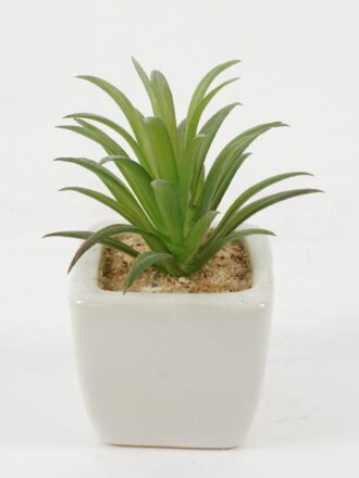 Artificial succulent 9*9*10cm Artificial succulent in ceramic pot GS-51722118 Succulent 3,000+ sqm showroom with thousands of artificial flowers, plants & trees ready for global sourcing.