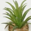 Artificial succulent 6*6*10cm Artificial succulent in ceramic pot GS-51722119 Succulent YeahFlower is one of Chinese leading OEM manufacturers and exporters , supplying the silk flowers, wholesale artificial trees