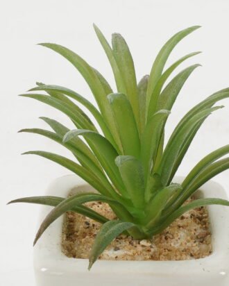 Artificial succulent 6*6*10cm Artificial succulent in ceramic pot GS-51722119 Succulent YeahFlower is one of Chinese leading OEM manufacturers and exporters , supplying the silk flowers, wholesale artificial trees