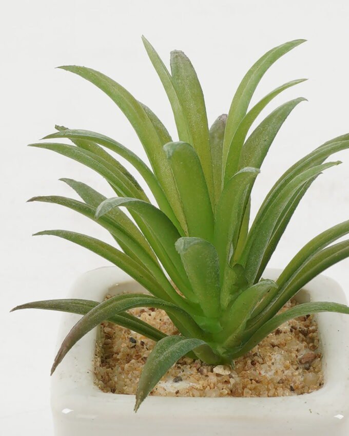 Artificial succulent 6*6*10cm Artificial succulent in ceramic pot GS-51722119 Succulent YeahFlower is one of Chinese leading OEM manufacturers and exporters , supplying the silk flowers, wholesale artificial trees