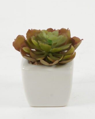 Artificial succulent 7*7*7cm Artificial succulent in ceramic pot GS-51722120 Succulent YeahFlower is one of Chinese leading OEM manufacturers and exporters , supplying the silk flowers, wholesale artificial trees
