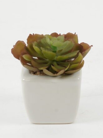 Artificial succulent 6*6*10cm Artificial succulent in ceramic pot GS-51722119 Succulent 3,000+ sqm showroom with thousands of artificial flowers, plants & trees ready for global sourcing.
