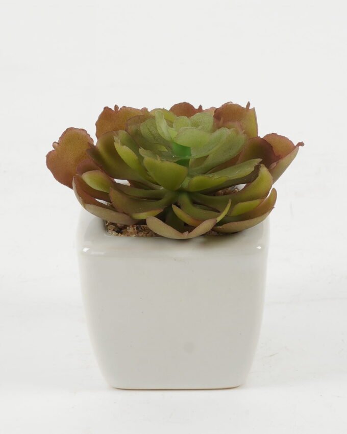 Artificial succulent 7*7*7cm Artificial succulent in ceramic pot GS-51722120 Succulent YeahFlower is one of Chinese leading OEM manufacturers and exporters , supplying the silk flowers, wholesale artificial trees