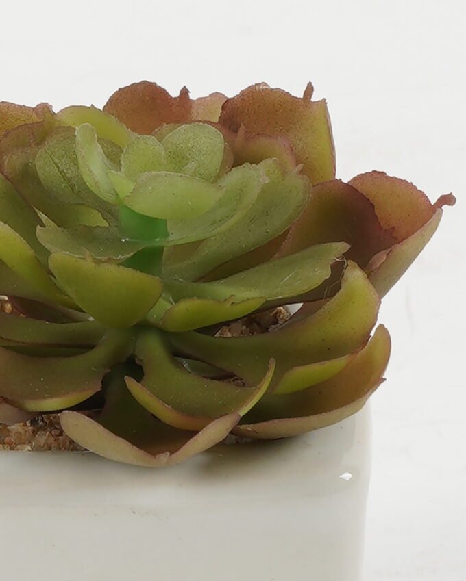 Artificial succulent 7*7*7cm Artificial succulent in ceramic pot GS-51722120 Succulent YeahFlower is one of Chinese leading OEM manufacturers and exporters , supplying the silk flowers, wholesale artificial trees